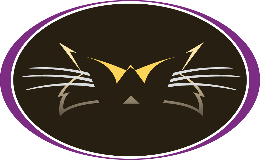 Western Carolina Catamounts 2000-2007 Alternate Logo diy DTF decal sticker